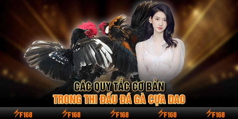 Các quy tắc cơ bản trong thi đấu đá gà cựa dao.