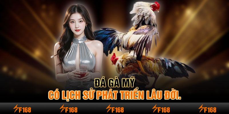 Đá gà Mỹ có lịch sử phát triển lâu đời