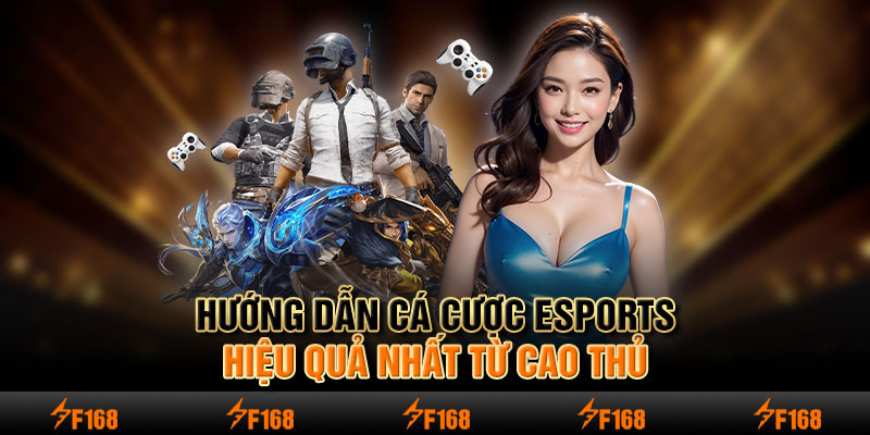 hướng dẫn cá cược Esports