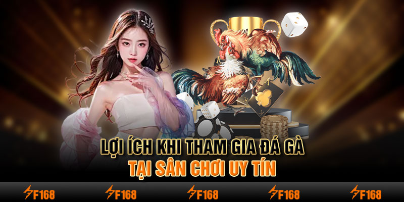 Lợi ích khi tham gia đá gà tại sân chơi uy tín