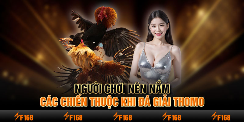 Người chơi nên nắm các chiến thuộc khi đá giải Thomo