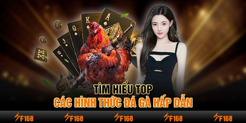 Tìm hiểu top các hình thức đá gà hấp dẫn