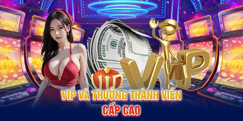 VIP và thưởng thành viên cấp cao